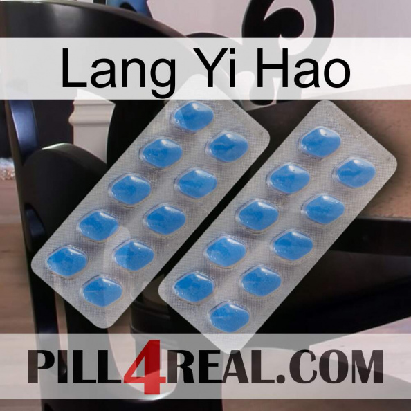 Lang Yi Hao 23.jpg